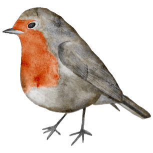 Cartão De Festividades Fotografia Moderna do Redbreast Robin Bird