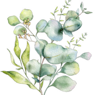 Ornamento De Cerâmica aquarela eucalipto verde menta