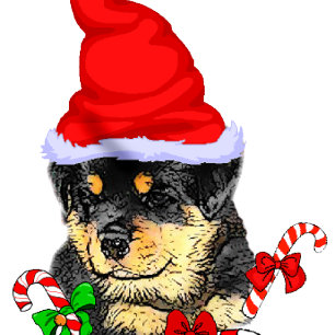 Cartão De Festividades Feliz de Natal Rottweiler