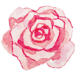 Convites Rosa de Aquarela Rosa   Casamento