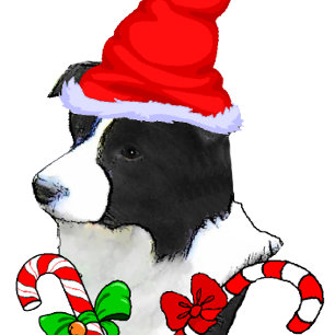 Cartão De Festividades Bonita Fronteira Collie Natal