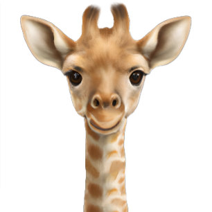 Cartão De Informações Oh Boy Baby Giraffe Livros para Chá de fraldas de 