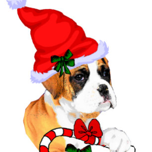 Cartão De Festividades Cute Boxer Dog Christmas