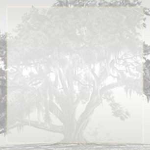 Convites Casamento de Oak Silver Mossy, Cinza Amarela