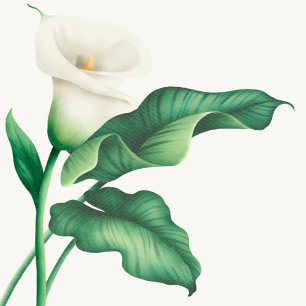 Convites Elegante Watercolor Lilly Chá de fraldas