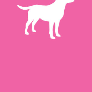 Convites Labrador de Chás de fraldas de Cachorro