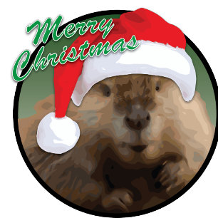 Cartão De Festividades Christmas Beaver - Greeting Card, Standard