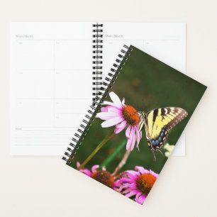 Swallowtail do Tigre do Planejador Sm no Coneflowe