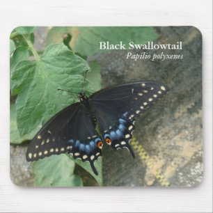 Swallowtail preto Mousepad