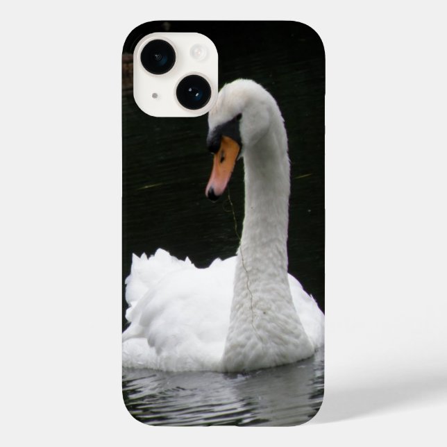 Swan branco (Verso)