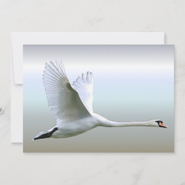Swan Branco no Voo do Cheio (Frente)