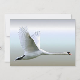 Swan Branco no Voo do Cheio