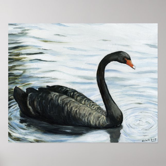 "Swan Negro" Impressão de Arte de Pássaro (Frente)