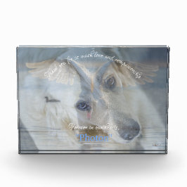 Swan Transparent Image Overlay Acrylic Photo