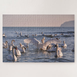 Swans Jigsera Quebra-cabeça