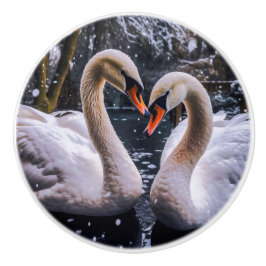 Swans Românticos em uma Terra Maravilha de inverno