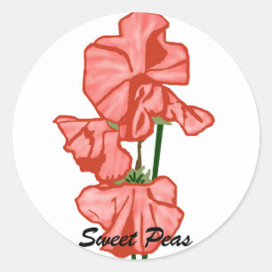 sweetpeas, etiquetas das ervilhas doces