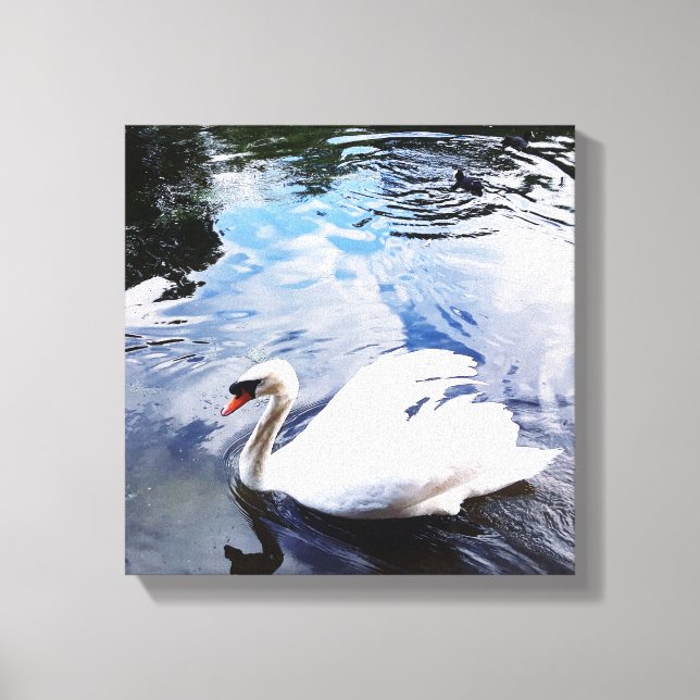 SWIMMING SWAN Stretch Canvas Print (Frente)