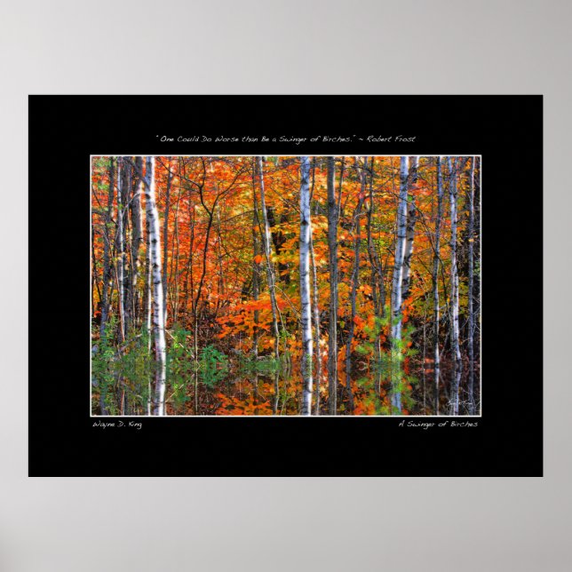 Swinger de Birches Poster (Frente)