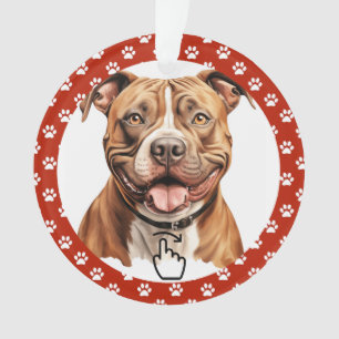 SWIPE DIREITO - Consulte Anterior ... Ornamento