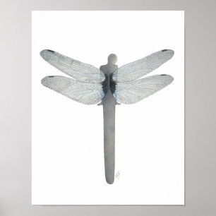 Symbiose Dragonfly Poster