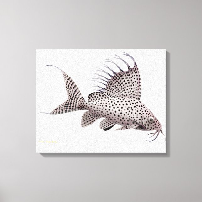 Synodontis Eupterus Canvas (Frente)