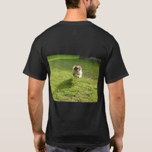 T camisa frente e trás Imagem de Sheltie