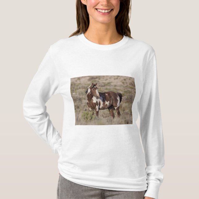 T-SHIRT  (Frente)