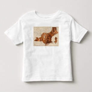 T-shirt 107 gripe NY, NJ, Nova Inglaterra