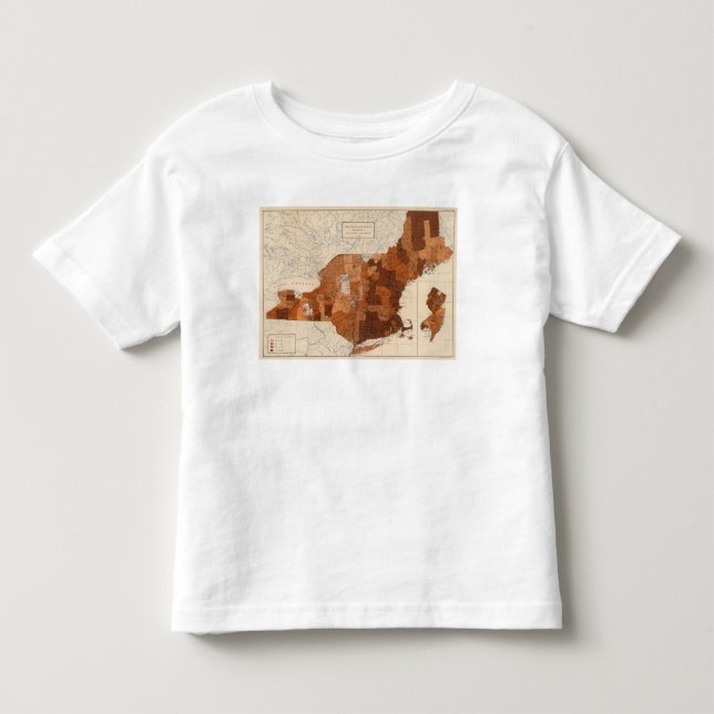 T-shirt 107 gripe NY, NJ, Nova Inglaterra (Frente)