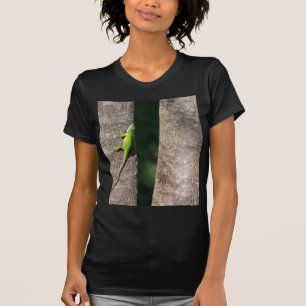 T-shirt 15 minutos.JPG