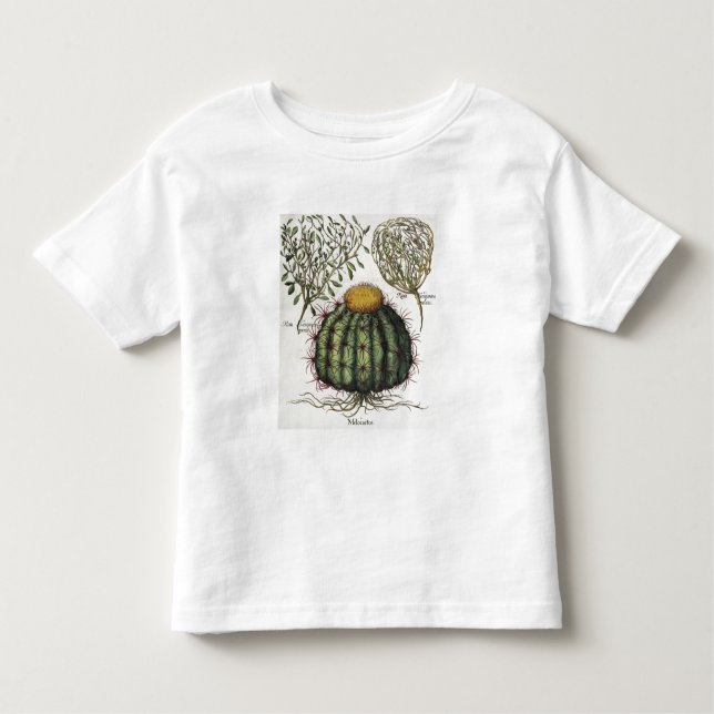 T-shirt 1.Melocactus; aperta de 2.Rosa Hiericontea; 3.Rosa (Frente)