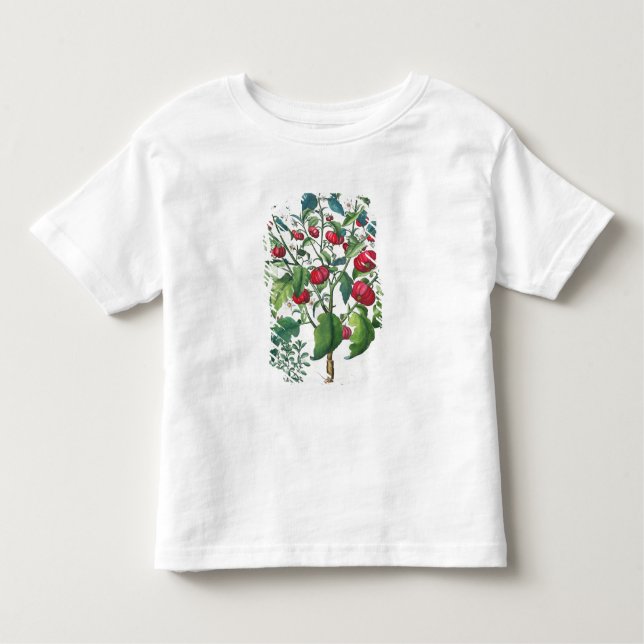 T-shirt 1.Solanum Pomiferum; 2.Amaracus vulgar, do (Frente)