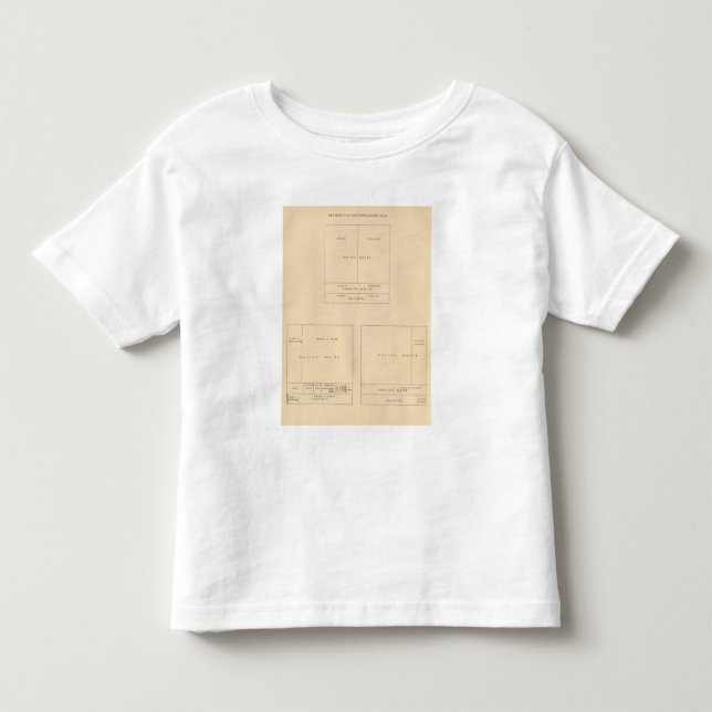 T-shirt 41 elementos da população 1900 (Frente)