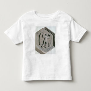 T-shirt A arte do vôo, Daedalus, sextavado