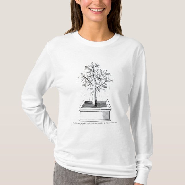 T-shirt A árvore de vida, ou a árvore Weeping (Frente)
