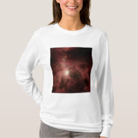 A Beleza Interior de Orion