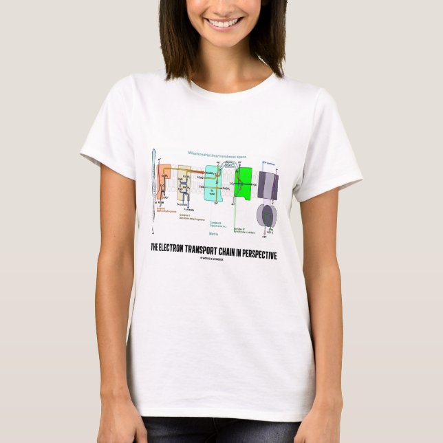 T-shirt A Cadeia De Transporte De Eletrões Em Perspectiva (Frente)