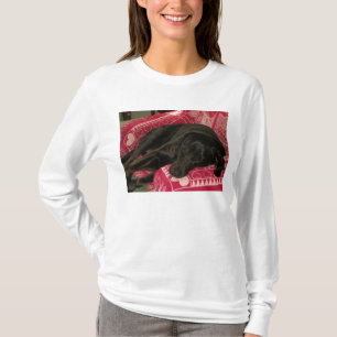 T-shirt A camisola encapuçado das mulheres sonolentos do
