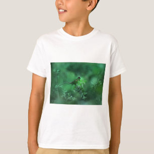 T-shirt A canção