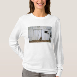 T-shirt A colagem do cavalo dirige para fora a janela do