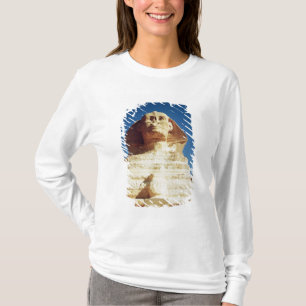 T-shirt A esfinge, datando do reino do rei