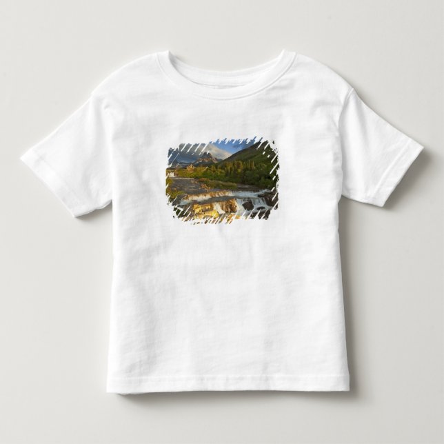 T-shirt A luz da manhã saúda Swiftcurrent Falls no (Frente)