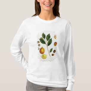 T-shirt A noz-moscada, chapeia 353 "de um erval curioso",