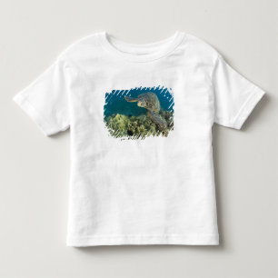 T-shirt A Tartaruga Marinha Verde, (Chelonia mydas), é a 2