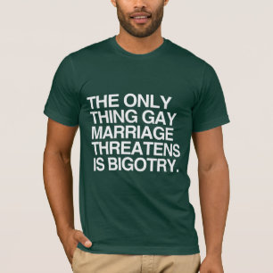 T-SHIRT A ÚNICA COISA QUE AMEAÇA CASAMENTO GAY É A BIGO