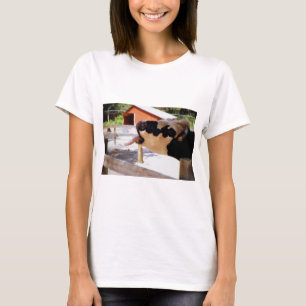 T-shirt A vaca que cola o é língua para fora para a pipo