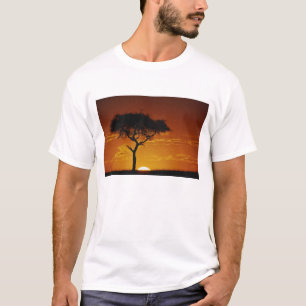 T-shirt Acácia Espinho de Guarda-Chuva, Acacia tortilis,