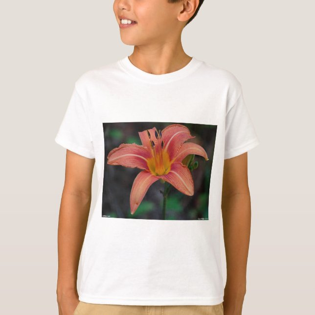 T-shirt Adorável Tawny Daylily Roupa e presentes (Frente)