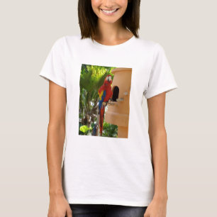 T-shirt Adoro papagaios